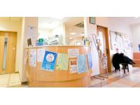 医療法人G・D・C　山口歯科クリニック